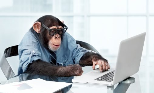 [Image: monkeys-typing.jpg?w=584]